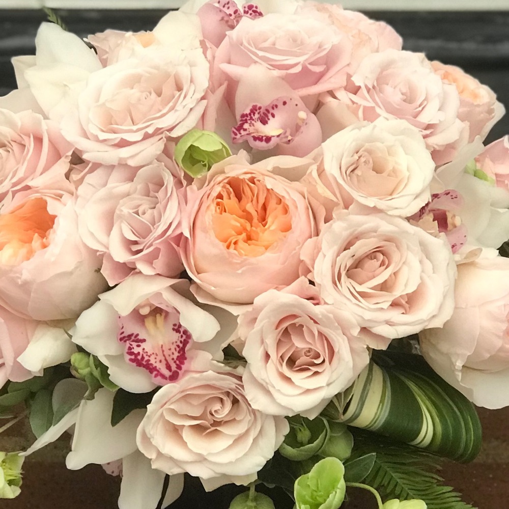 Meet your Posher, Will